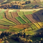 Gorczańskie pola - Kamienica 1998 r