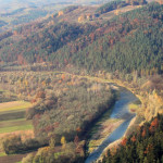 Dzika jeszcze Łososina we Wronowicach ...