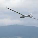 Długo dziś nie polata ...